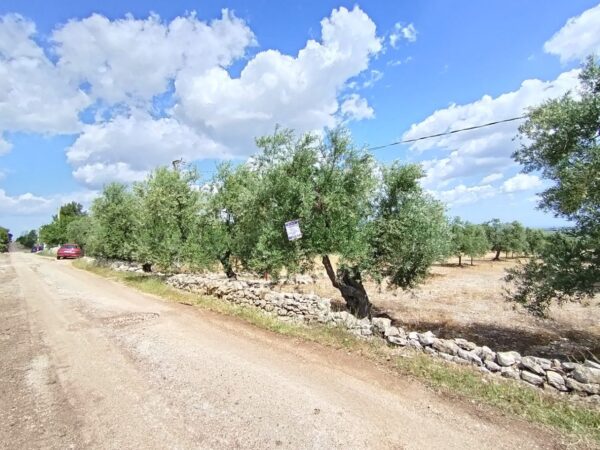 Terreno agricolo in zona Via Castel del Monte
