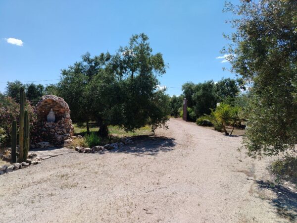 Villa su II livelli in zona Via Trani - immagine 26