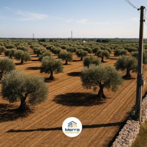 Terreno industriale in zona Terlizzi-Giovinazzo