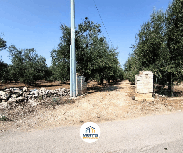Terreno agricolo in zona Via Vecchia Molfetta - immagine 2