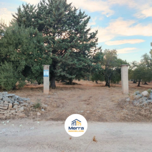 Terreno agricolo coltivato ad uliveto e mandorleto in zona Viale San Vittore